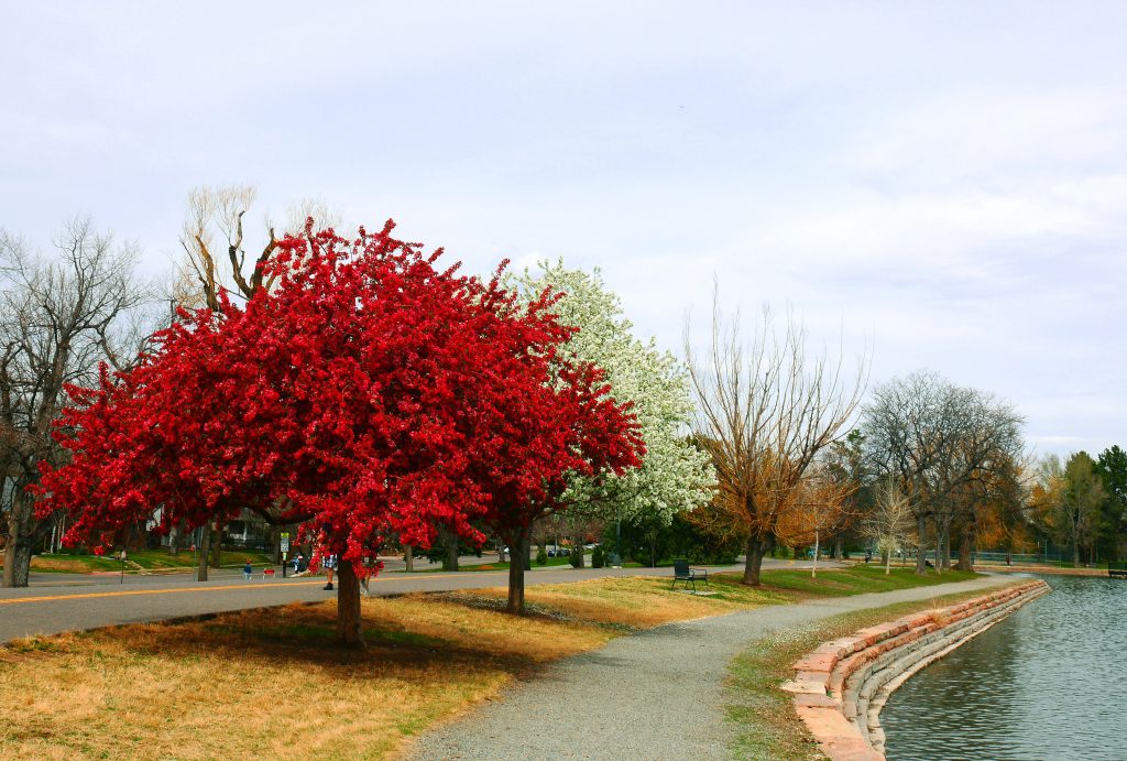 Most beautiful Neighborhoods in America, washington park, denver, colorado, fall, foliage, river walk 