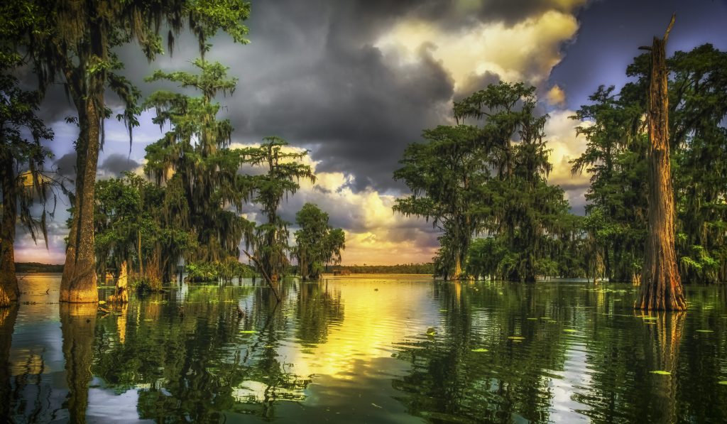 Neighborhoods of New Orleans, swamp, bayou