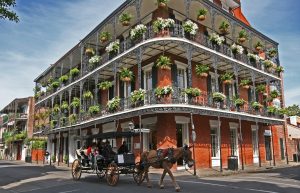 Neighborhoods of New Orleans, bourbon street, flowers, horse, carriage, colorful house