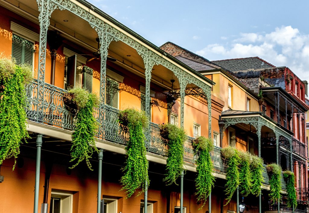 Neighborhoods of New Orleans, colorful houses, plants