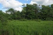 25.9 Ac. Johnnycake Rd.,