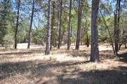 2.42 Ac Pine Crest Ct.