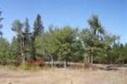 22.69ac Stentz Rd.