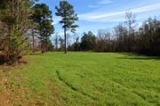 260 Acres Higgenbotham Rd.