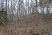 5 Acres Muscadine Trail