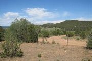 3.8 Acres On Camino Espejo