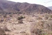 53.89 Acres On Pala Rd., 1