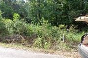 16 Acres Tuscumbia Rd.