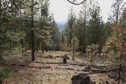 13853 (Approx) S. Serenity Ln.