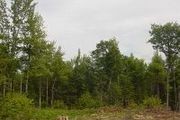 0 Besse Rd., Lot 5