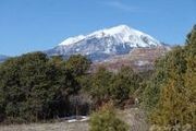 9 Big Horn Sheep Ranch