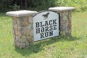Black Horse Run