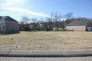 3356 Blackberry Ln. (Lot 161)