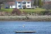 15 Blacks Landing
