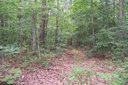 Blackwells Mill Lot #2 Rd.
