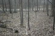 1117 Bluff Rd.