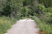 3540 Cedonia-Addy Rd.