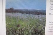 Clemons Rd.,