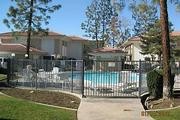 2626 Cleo Ct. #31