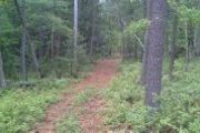Deer Hill