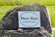 Deer Run At Potts Creek