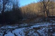 Glade Fork