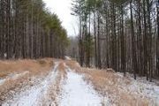 5420 Hidden Acres Trl