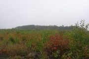 Hubbard Lake Rd.