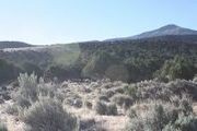 4739 Hwy. 91