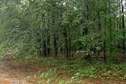 2166 Hwy. 362