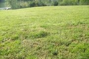Lot 19 Back Nine Dr.