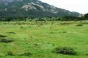 Lot 22 Buffalo Jump Ranch