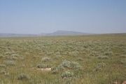 Lot 99 Cassidy River Ranch