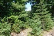Lot 1 Greystone/Laural Hollow Rd.