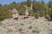 Lot 14 Harmony Mountain Ranch Phase 1