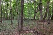 Lot 33 Kemah Park Dr.