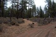 Lot 23 Klamath Forest