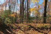 Lot 1 On Mcpeak Rd.