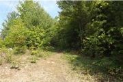 Lot 14 Pine Dr.