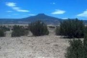 Lot 26 Rd. 1725, Laguna Jacquez S./D