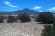 Lot 26 Rd. 1725, Laguna Jacquez S./D