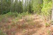 Lot 6 Whispering Pines Ln.