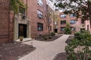 88 Marion St. #3