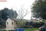 12826 Martha St.