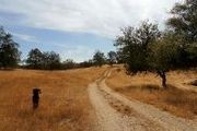 30771 Morgan Canyon Rd.