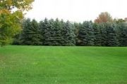 Mt. View Estates