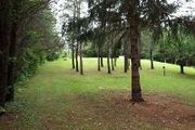 N3612 Combs Rd.