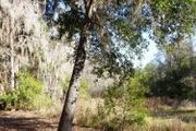 3240 N.W. 141 Cr