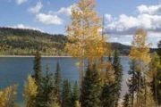 Navajo Lake Estates Un 5 Lot 7