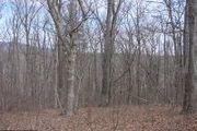750 River View Rd.